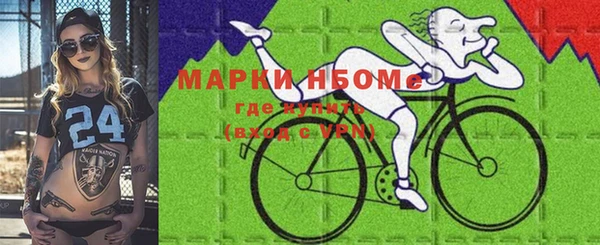 гашик Дмитриев