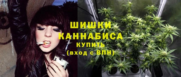 альфа пвп Дмитровск