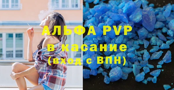гашик Дмитриев