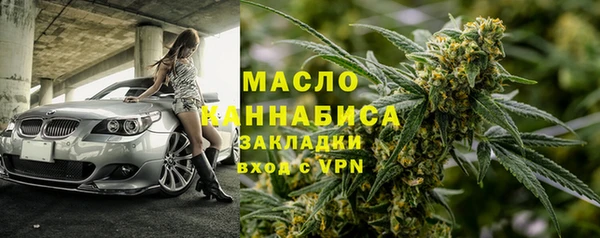 гашик Дмитриев