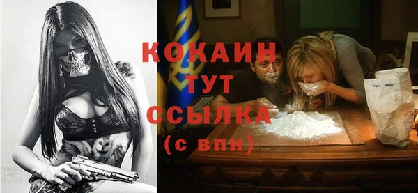 альфа пвп Дмитровск