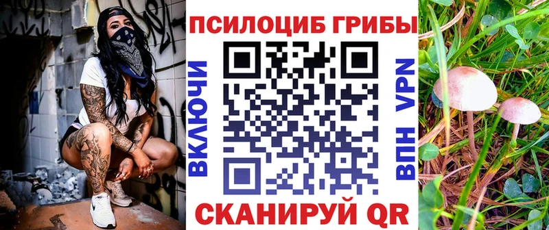Галлюциногенные грибы ЛСД  Купить где  Емва 